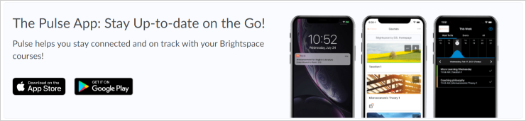 The Brightspace Pulse banner visible from Grades and the Notifications Settings page