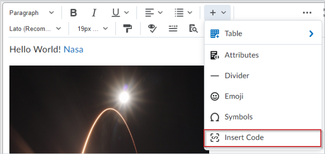 The Brightspace Editor with the Other Insert Options menu open. Insert Code has been highlighted as the last option in the menu