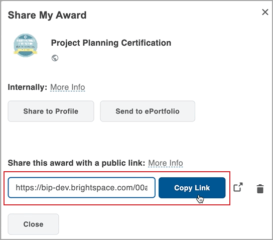 The Copy Link button in Awards